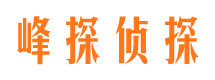 安塞市私人调查